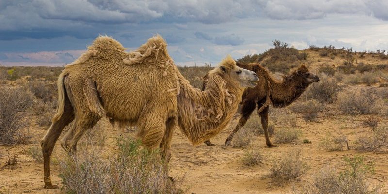 biến đổi khí hậu