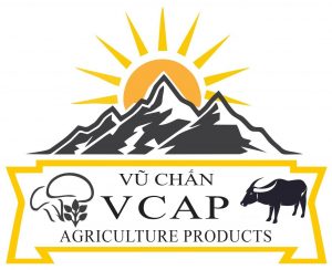 htx thuc vat nam ban dia